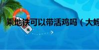 乘地鐵可以帶活雞嗎(大媽帶活雞進地鐵)