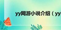 yy網游小說介紹(yy網游小說)