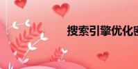 搜索引擎優化密碼