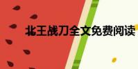 北王戰刀全文免費閱讀(北王是誰)