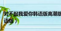 對不起我愛你韓語版高潮版(對不起我愛你韓語版)
