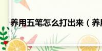 養用五筆怎么打出來(養用五筆怎么打)