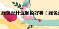 綠色配什么顏色好看(綠色配什么顏色好看)