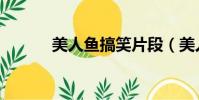 美人魚搞笑片段(美人魚種子)