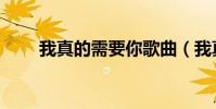 我真的需要你歌曲(我真的需要你)