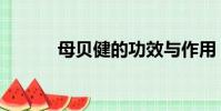 母貝健的功效與作用(母貝健)