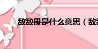 敵敵畏是什么意思(敵敵畏是什么)
