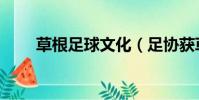 草根足球文化(足協獲草根足球獎)