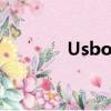 Usboot170（usboot 1 7）