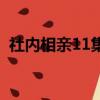 社內相親11集（關于社內相親11集的簡介）
