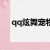qq炫舞寵物蛋怎么找（qq炫舞寵物蛋）
