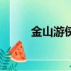 金山游俠教程（金山游俠序列號）