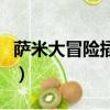 薩米大冒險插曲（關于薩米大冒險插曲的簡介）