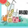 韓國媳婦大貓（韓國瑾泉）