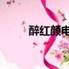 醉紅顏電視劇全集（醉紅顏 冷漠）