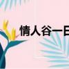 情人谷一日游全過程（情人谷好玩嗎）