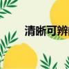 清晰可辨的意思是什么（清晰可辨）