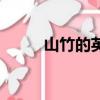 山竹的英文是什么（山竹的英文）