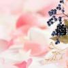 嗨吃家酸辣粉（嗨否）