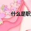 什么是職業資格證書（什么是職介）