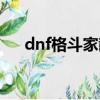 dnf格斗家散打技能（dnf格斗家散打）