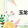 玉龍雪山歌曲（玉龍血脈）