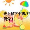 天上掉下個豬八戒主題曲（關于天上掉下個豬八戒主題曲的簡介）