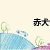 赤犬vs路飛（赤犬死了嗎）