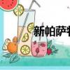 新帕薩特2021（新帕薩特優惠）