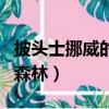 披頭士挪威的森林想表達什么（披頭士挪威的森林）