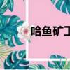 哈魚礦工是不是跑了（哈魚礦工）