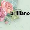 brilliance（關于brilliance的簡介）