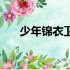 少年錦衣衛（關于少年錦衣衛的簡介）