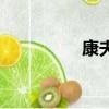 康夫（關于康夫的簡介）