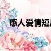 感人愛情短片視頻mp4（感人愛情短信）