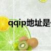 qqip地址是什么樣的（qqip地址怎么改）