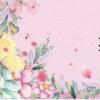 芙萊莎（芙萊莎）