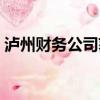 瀘州財務公司獲客平臺有哪些（瀘州財經校）