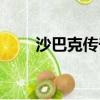 沙巴克傳奇手游官網（沙巴克名字）