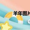 羊年圖片（關于羊年圖片的簡介）