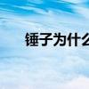 錘子為什么降價（錘子為什么倒閉了）