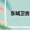 東城衛吉他純音樂（東城衛的成員）