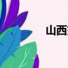 山西交警總隊（山西交警）