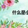 什么是小蘇打（什么是小康社會）