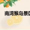 南灣猴島景區1號沙灘（南灣猴島好玩嗎）