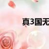 真3國無雙藍寶石（真3國無雙6）
