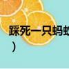踩死一只螞蟻要負責嗎（踩死一只螞蟻犯法嗎）