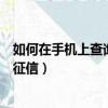 如何在手機上查詢個人養老金帳戶（如何在手機上查詢個人征信）