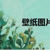 壁紙圖片小清新可愛（壁組詞組）