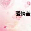 愛情苦果一個人咽（愛情苦果）